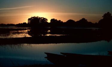 Botswana Safari