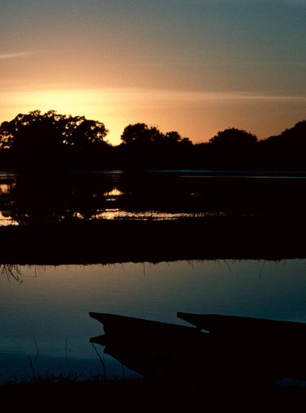 Botswana Safari