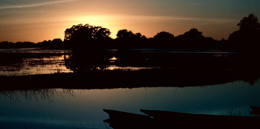 Botswana Safari