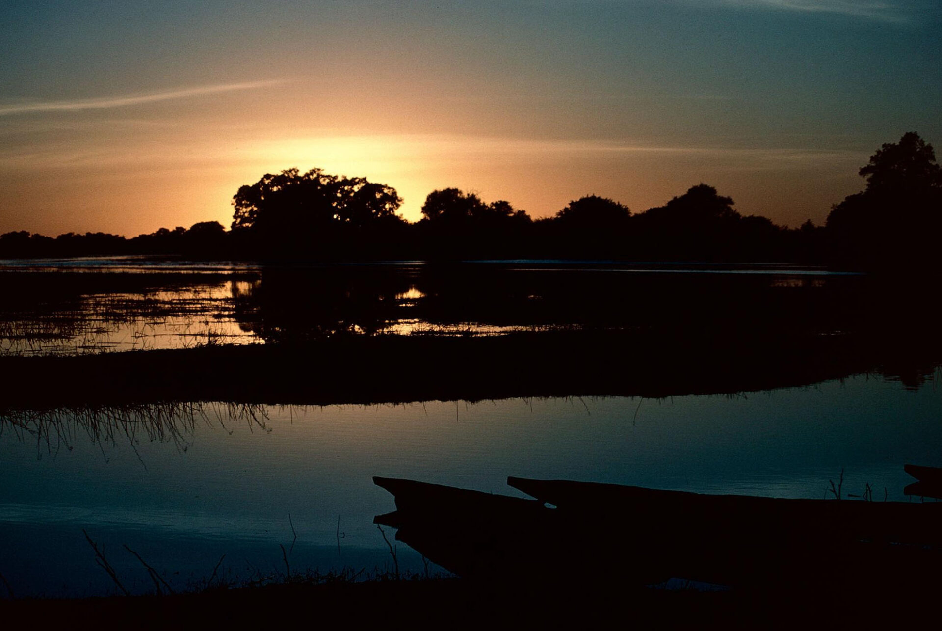 Botswana Safari