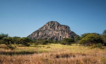 Botswana Safari