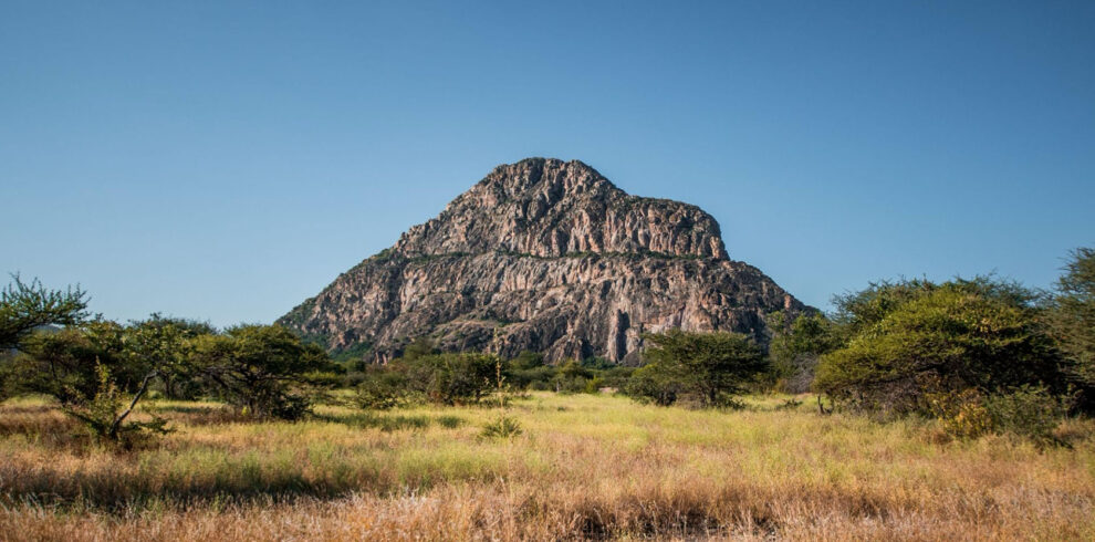 Botswana Safari