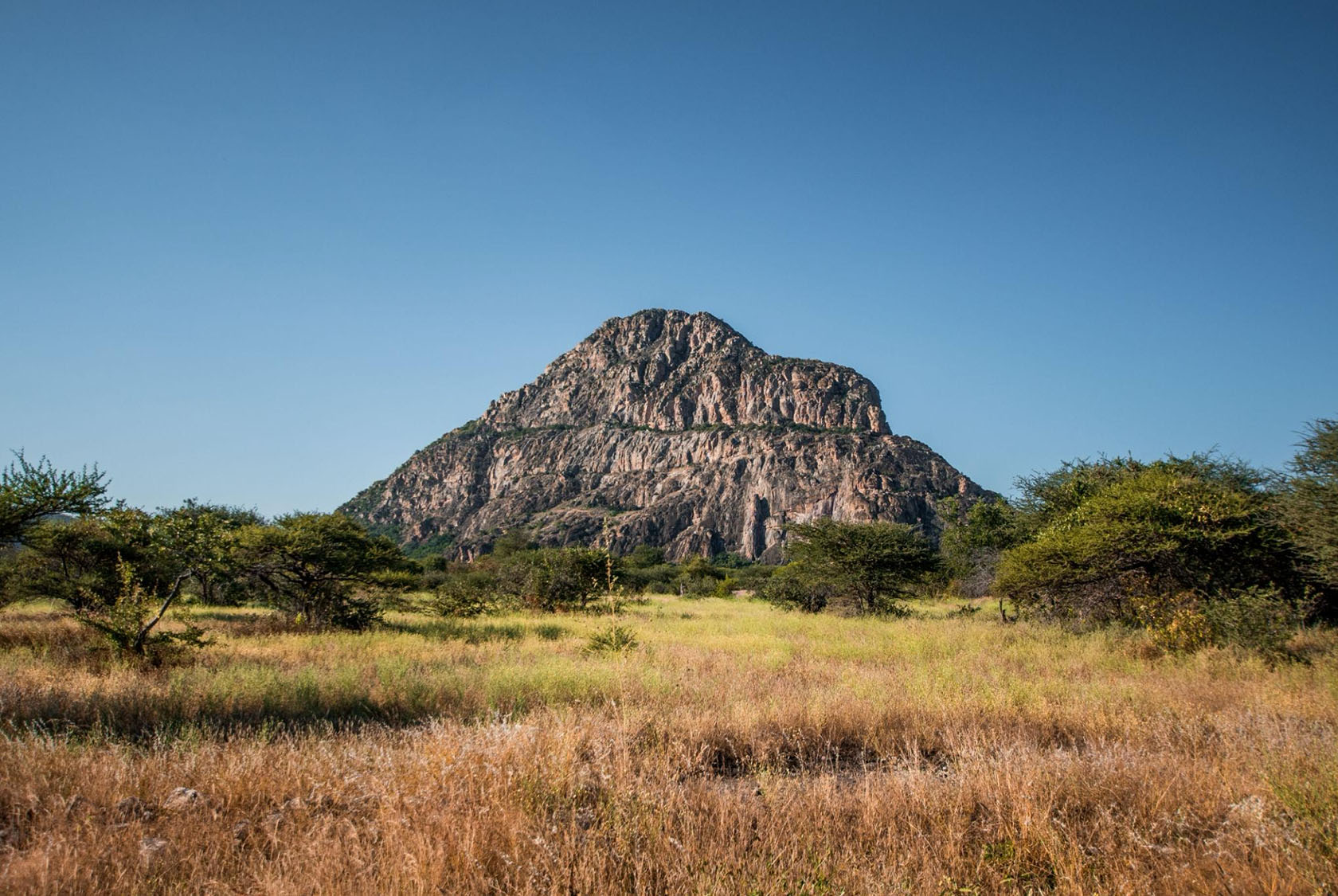 Botswana Safari