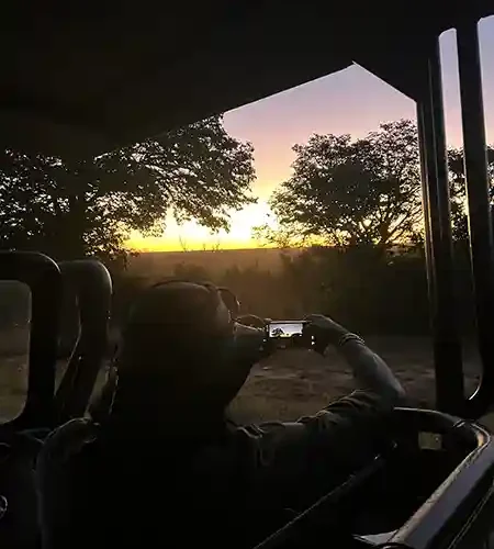 Botswana Safari